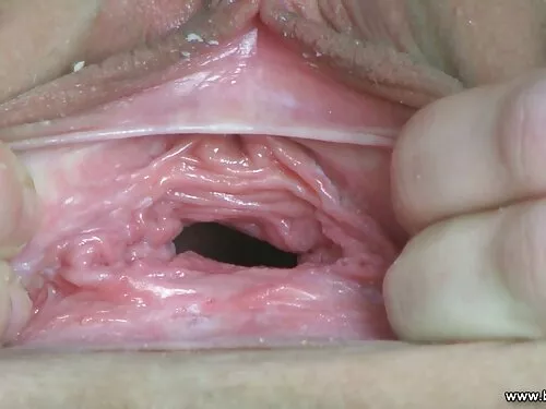 مثقوب titted الهواة  ...
