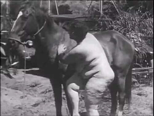 أطعم فاتنة الساخنة ف ...