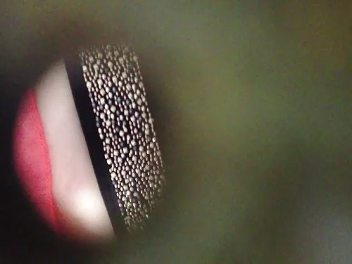 يمسح مفلس كس كارميلا ...