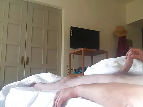حافز لبيكي وجملها لل ...
